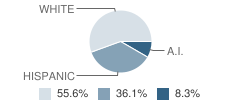 San Jon Middle School Student Race Distribution