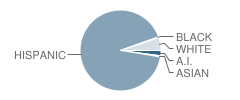 Ortiz Middle School Student Race Distribution