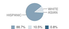 Sixth Street Elementary School Student Race Distribution