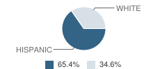 Forrester Elementary School Student Race Distribution