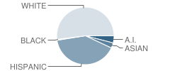 Taos Charter School Student Race Distribution