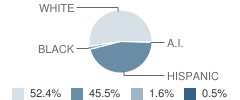 Sierra Complex School Student Race Distribution