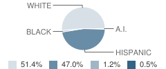 Hot Springs High School Student Race Distribution