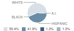 T or C Elementary School Student Race Distribution