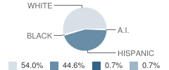 T or C Middle School Student Race Distribution