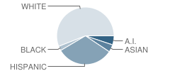 Rainshadow Community Charter High School Student Race Distribution