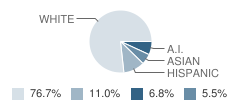 Indian Springs Middle School Student Race Distribution