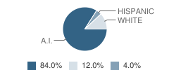 Owyhee Junior High School (All Nv & Idaho Only) Student Race Distribution