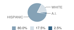 Jackpot Junior High School Student Race Distribution