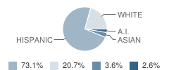 West Wendover Junior High School Student Race Distribution