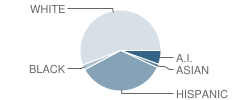 Flagview Intermediate School Student Race Distribution