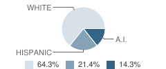 Gerlach Middle School Student Race Distribution