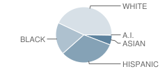 Lee Antonello Elementary School Student Race Distribution