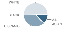 Yerington Intermediate School Student Race Distribution