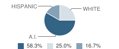 Duckwater Elementary School Student Race Distribution