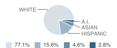 Round Mountain High School Student Race Distribution