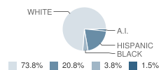 Pathways High School Student Race Distribution