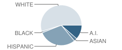 Lovelock Elementary School Student Race Distribution