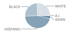 P.S. 163 Alfred E. Smith School Student Race Distribution