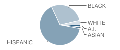 Tito Puento Education Complex School Student Race Distribution