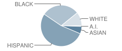 P.S. 16 John J. Driscoll School Student Race Distribution