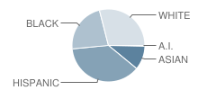 Intermediate School-I.s. 27 Anning S. Prall Student Race Distribution