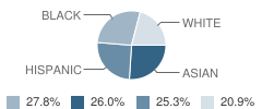 Is 250 the Robert F Kennedy Middle School Student Race Distribution