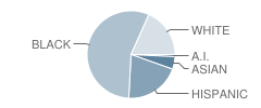 P.S. 811 School Student Race Distribution