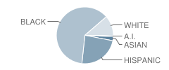 P.S. 371 Lillian L. Rashkis School Student Race Distribution