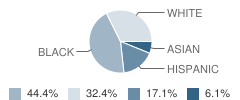 P.S. 771 School Student Race Distribution