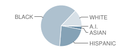 P.S. 256 School Student Race Distribution