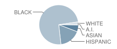 P.S. 315 School Student Race Distribution