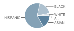 Collaborative Academy of Science, Technology and Lang Student Race Distribution