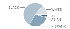 Waterside School for Leadership Student Race Distribution