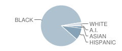 Henry Johnson Charter School Student Race Distribution