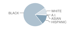 Northwest College Preparatory High School Student Race Distribution