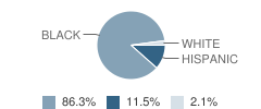 Brighter Choice Charter School for Boys Student Race Distribution