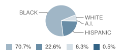 Ark Community Charter School (The) Student Race Distribution