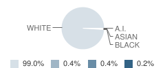 Berne-Knox-Westerlo Elementary School Student Race Distribution