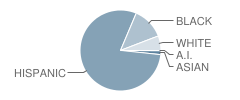 East Elementary School Student Race Distribution