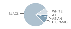 Burgard Vocational High School Student Race Distribution