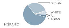 Charles A. Mulligan School Student Race Distribution