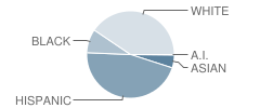 Deasy School Student Race Distribution