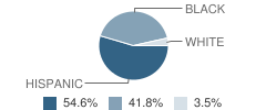 Ziccolella Elementary / Middle School Student Race Distribution