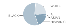 School 41-Kodak Park Student Race Distribution