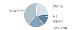 George Fowler High School Student Race Distribution