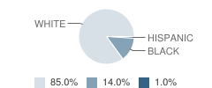 Summit Academy Warren Student Race Distribution