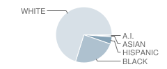 Toledo Technology Academy High School Student Race Distribution