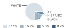 Lakewood City Academy Student Race Distribution