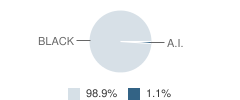 Cleveland Arts and Social Sciences Academy Student Race Distribution